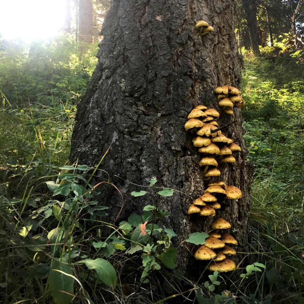 That time I spent alone in&nbsp;Colorado…