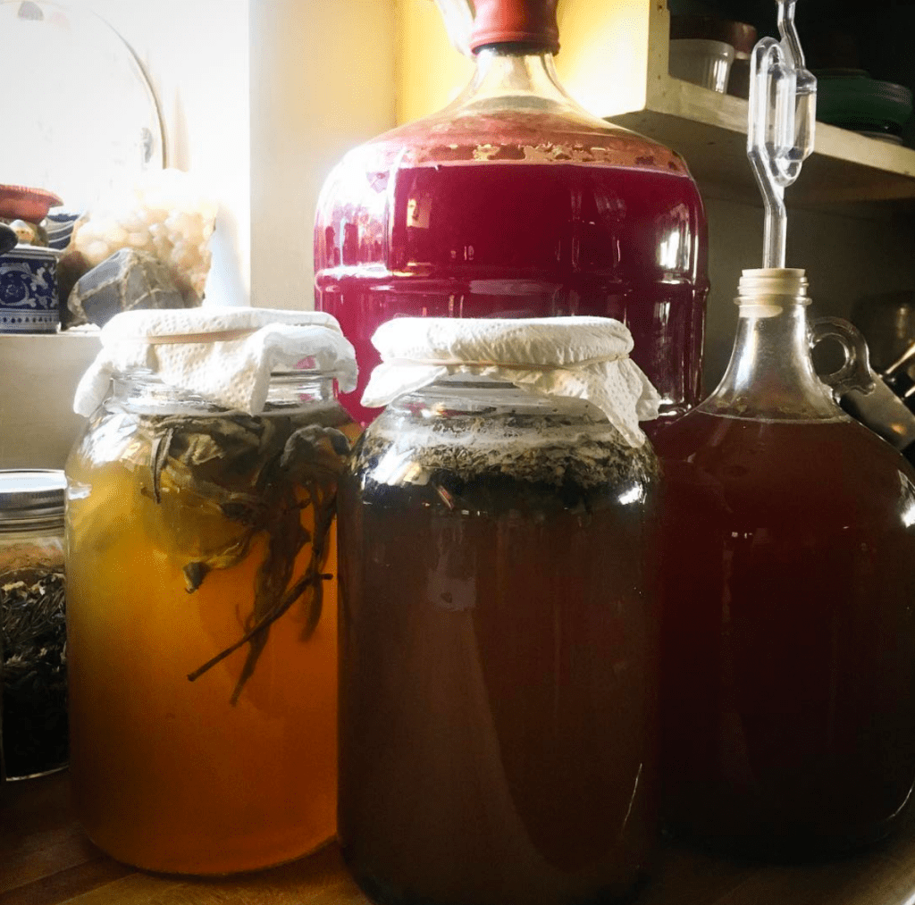 Prickly Pear Mead&nbsp;Recipe