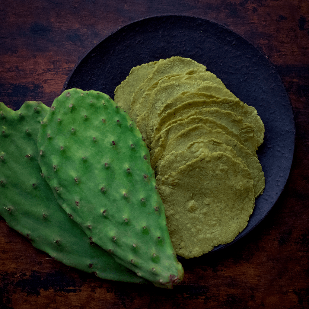 Cactus & Corn&nbsp;Tortillas