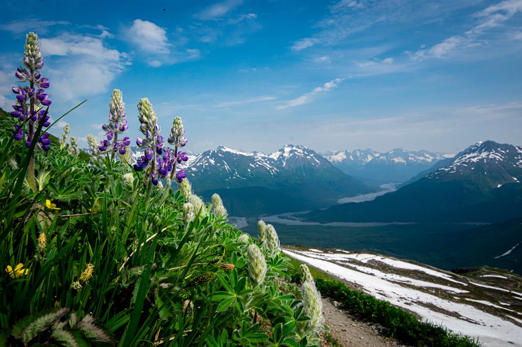 Edges. An Alaskan&nbsp;Journey.