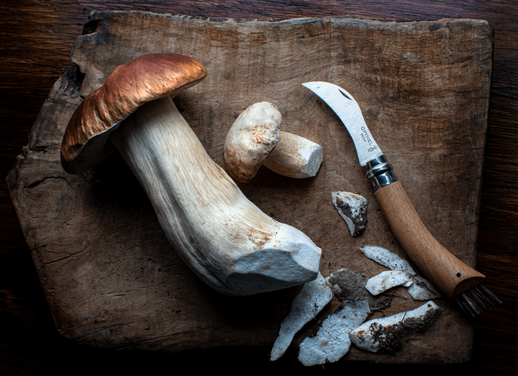 Rise of the Pandemic Era&nbsp;Forager