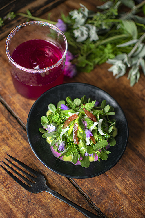 Prickly Pear Succulent&nbsp;Salad