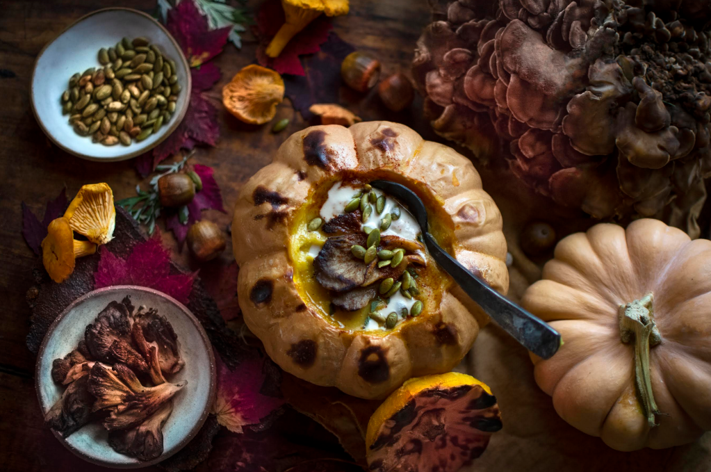 Hen of the Woods: A Fabulous Fall Fungi to&nbsp;Forage